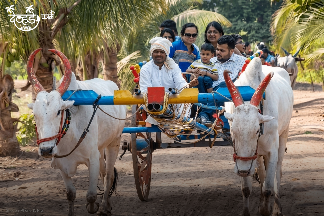 बैलगाडी राइड